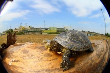 Szeretnél többet tudni az MVM Paksi Atomerőmű Zrt.-ről? Akkor kattints!